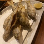 酒と旬菜 中吉 - 