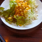 カウカウステーキ - サラダ3回目胡麻ドレッシング