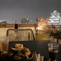 BLUE BIRDS ROOF TOP TERRACE - 