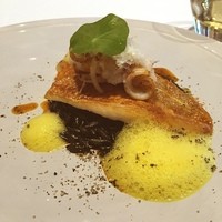 ad hoc  - イトヨリ、イカ、リゾーニ
                  リゾーニがイカスミで美味しい〜( ˆωˆ )