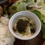 come in家fe maze maze  - 