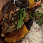 come in家fe maze maze  - 