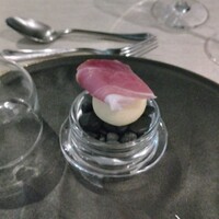 サンシャイン クルーズ・クルーズ - 