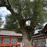 ねぎ屋さんのねぎ焼き - 