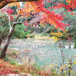 吉祥庵 - 2014秋。浄瑠璃寺の庭園は無料です