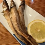 居酒屋 ちろり - 