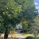 辻利兵衛本店 - 