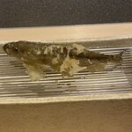 てんぷら てらおか - 