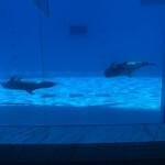 マリンワールドレストラン レイリー - 