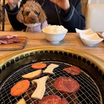 肉菜工房うしすけ - 