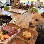 肉菜工房うしすけ - 