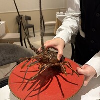 Wakana ～和奏～ - 