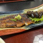 郡上炭火焼　うなぎの魚寅 - 