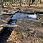 そば処 三分一 - 