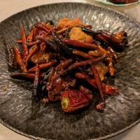 CINA New Modern Chinese - 