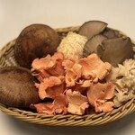 OTTO SETTE - 中央オレンジがトキイロヒラタケ