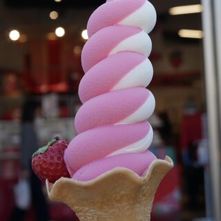 BonBon BERRY STAND_1