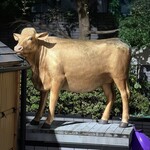 大衆焼肉ホルモン 天陽 - 