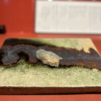 鮨　銀座　鰤門 - 