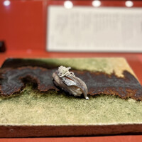 鮨　銀座　鰤門 - 