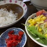 御食事処峠 - 半カレーセット