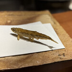 天ぷら やぐち - 