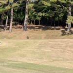 미에 칸츠리이 클라부