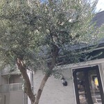 KOUJI Labo.PARTAGE - 