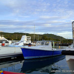 BIG Sunset Dinner Cruise  - 