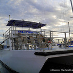 BIG Sunset Dinner Cruise  - 