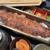 うなぎ四代目菊川 神戸三宮店 - 