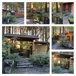 小林 地鶏の里 - 敷地内の雰囲気