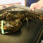 イルキャンティ 日本橋店 - 