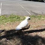 Bakehouse on Wentworth - 