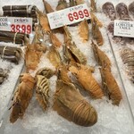 Sydney Fish Market - 