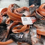 Sydney Fish Market - 