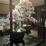 暗闇坂宮下 - 