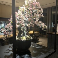 暗闇坂宮下 丸の内店 - 