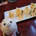 コーヒーワークショップ・シャンティ - バナナ混入MIXサンド、ハムキュウリサンド