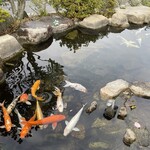 元祖瓦そば たかせ - 