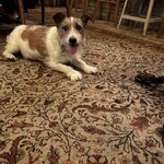 マンマルイーザステーブル - 