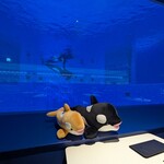 ブルーオーシャン - 