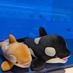 ブルーオーシャン - 