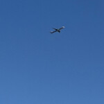 うみぱん - 羽田から飛び立った飛行機