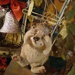 クオーレ ヴェルデ - 