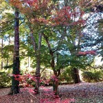 玉乃屋 - 　　　　　　　　　散歩道