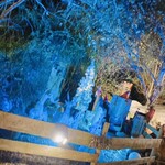 クオーレ ヴェルデ - 