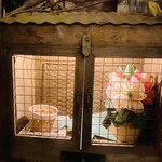 クオーレ ヴェルデ - 