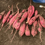 レストラン サイボク - 