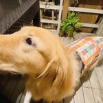 クオーレ ヴェルデ - 